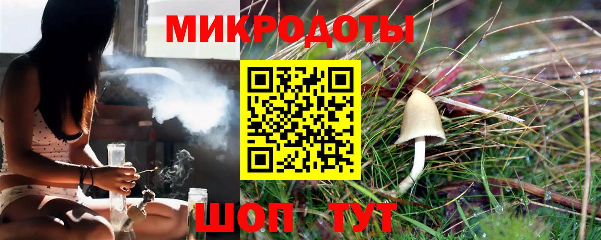 Псилоцибиновые грибы Psilocybine cubensis  Галлюциногенные грибы Cubensis  Братск  Вход с VPN 
